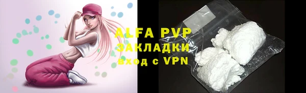тгк Алексин